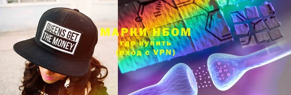 мяу мяу мука Белокуриха