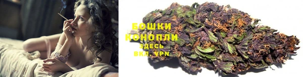 мяу мяу мука Белокуриха