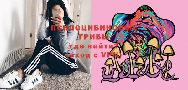 мяу мяу мука Белокуриха