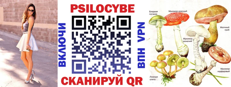 сколько стоит Верхняя Тура Псилоцибиновые грибы мицелий